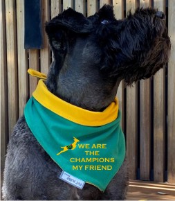 Dog Bandanas